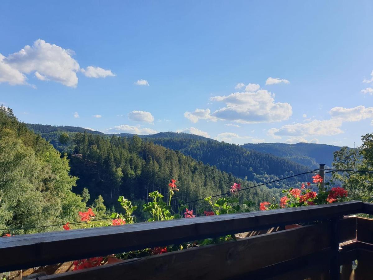 Landhaus Valentin Lägenhet Triberg im Schwarzwald Exteriör bild