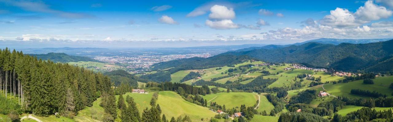 Landhaus Valentin Lägenhet Triberg im Schwarzwald Exteriör bild