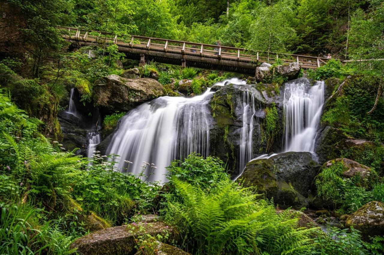 Landhaus Valentin Lägenhet Triberg im Schwarzwald Exteriör bild