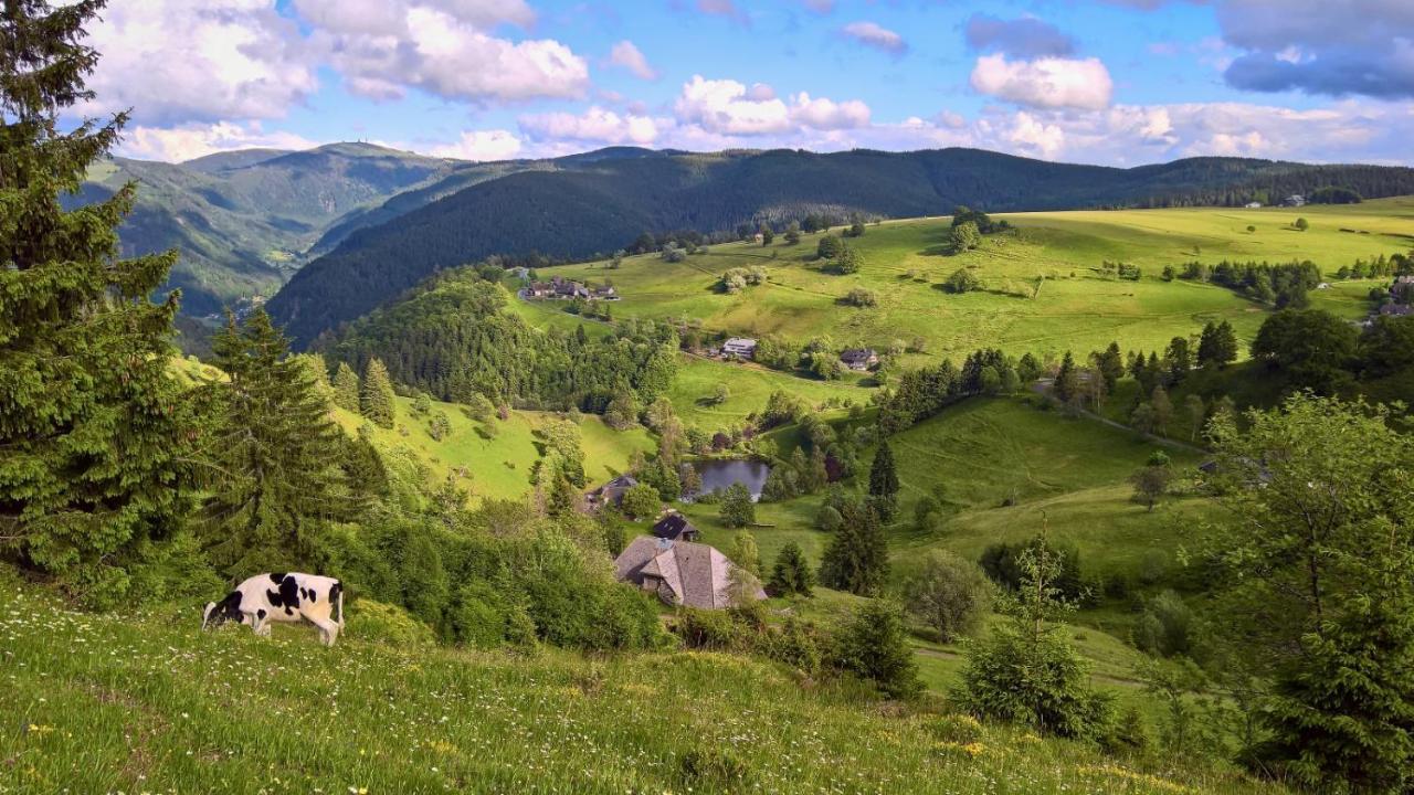 Landhaus Valentin Lägenhet Triberg im Schwarzwald Exteriör bild