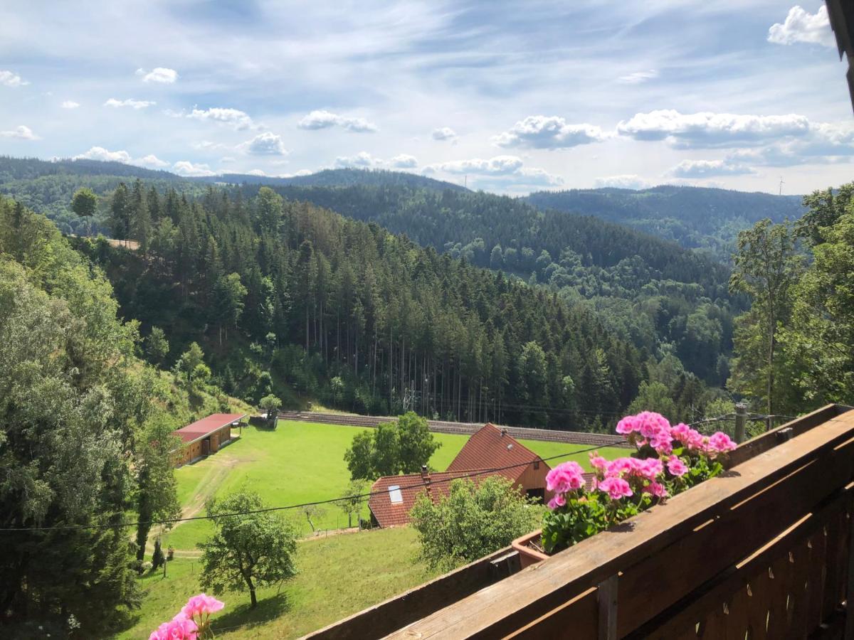 Landhaus Valentin Lägenhet Triberg im Schwarzwald Exteriör bild