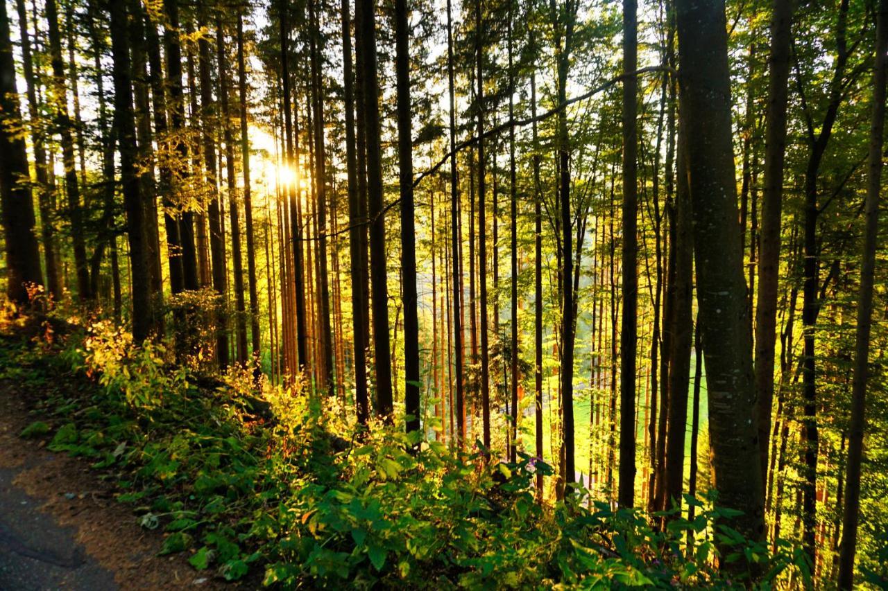 Landhaus Valentin Lägenhet Triberg im Schwarzwald Exteriör bild