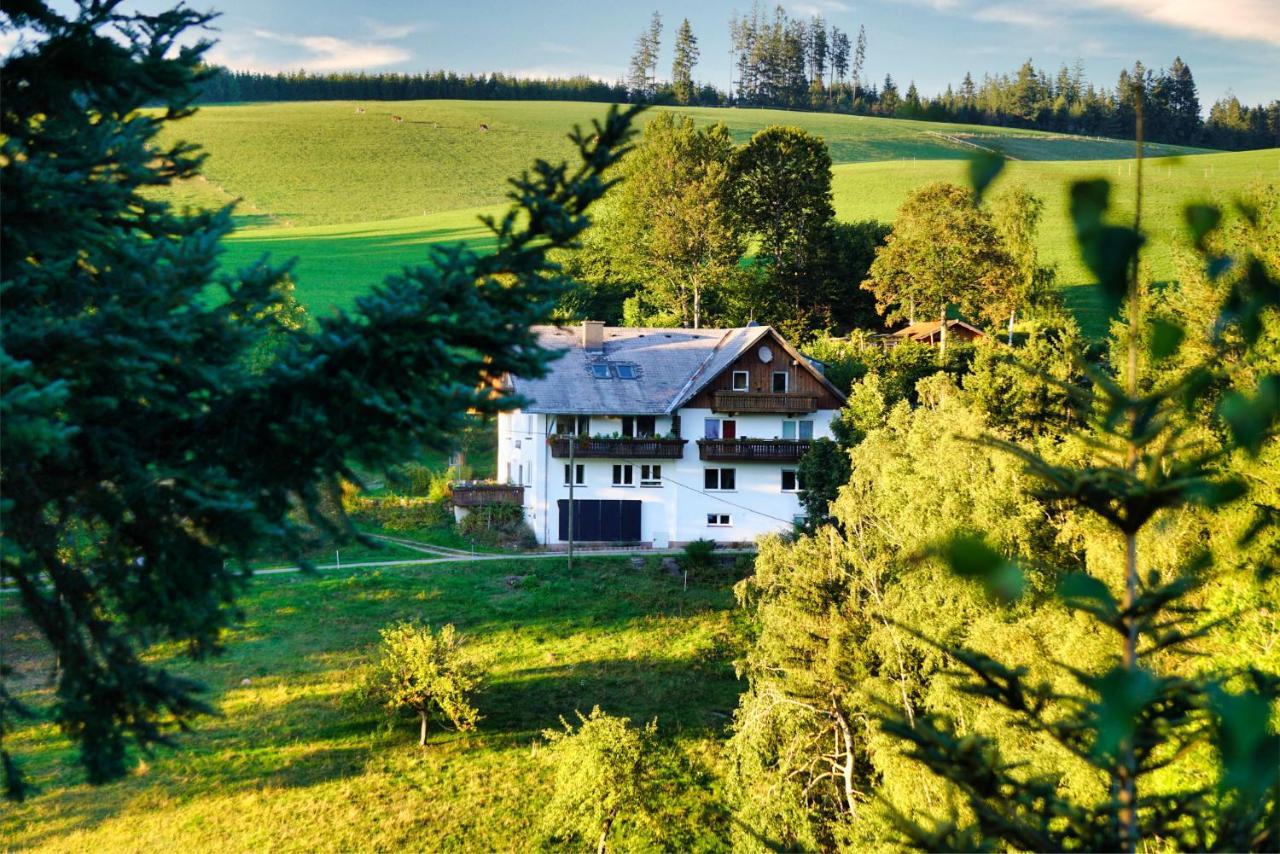 Landhaus Valentin Lägenhet Triberg im Schwarzwald Exteriör bild