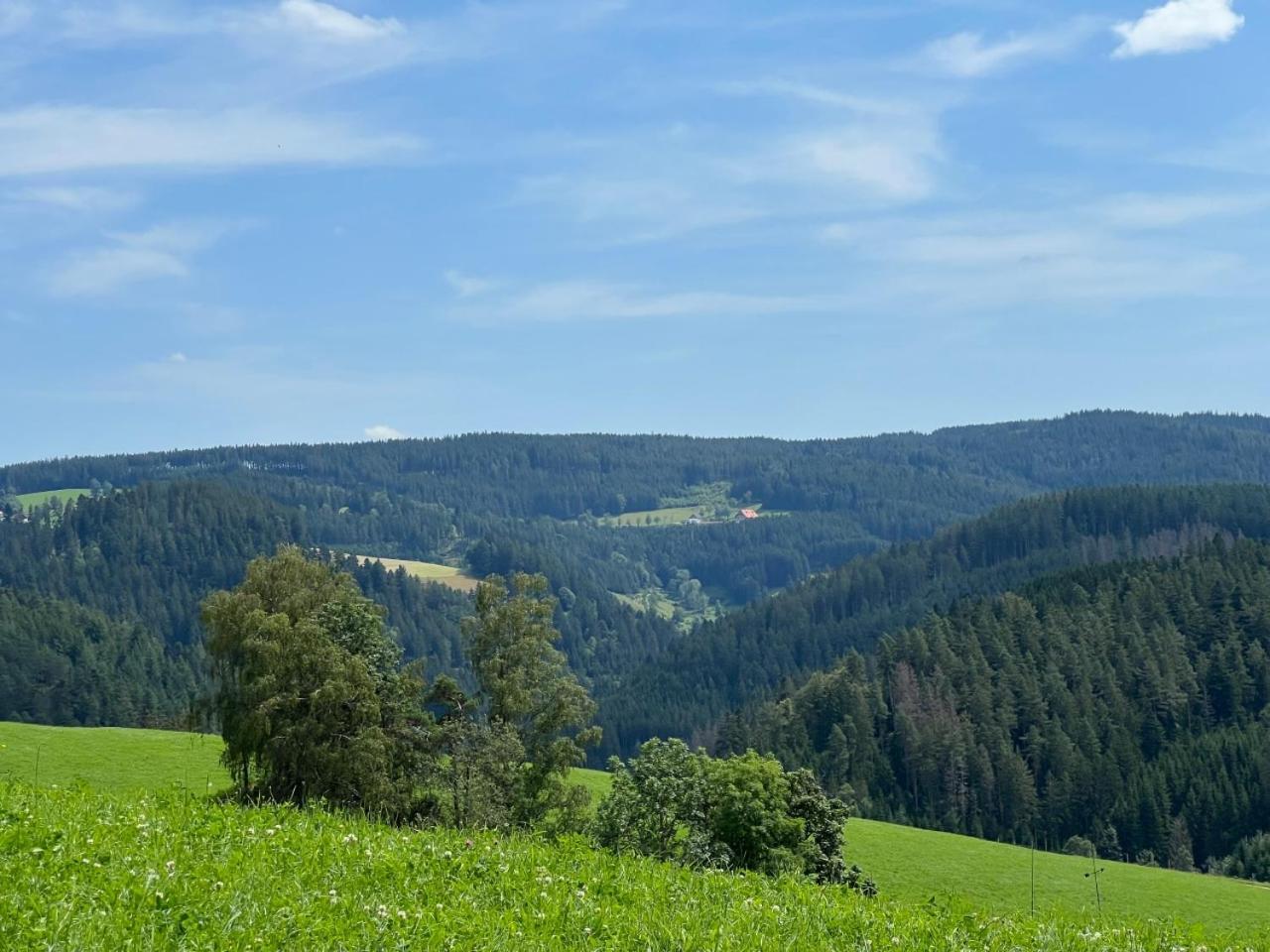 Landhaus Valentin Lägenhet Triberg im Schwarzwald Exteriör bild