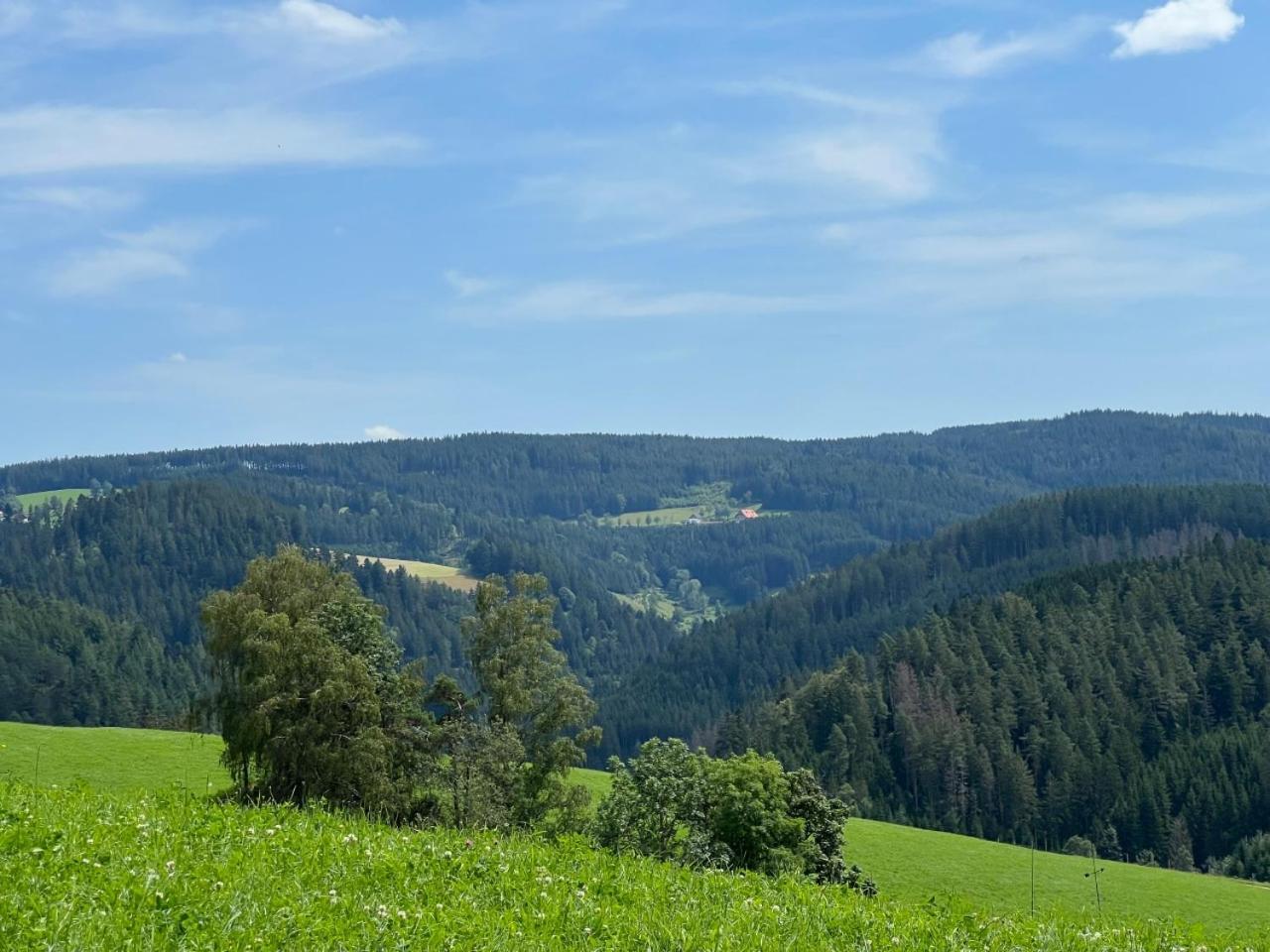 Landhaus Valentin Triberg im Schwarzwald Exteriör bild