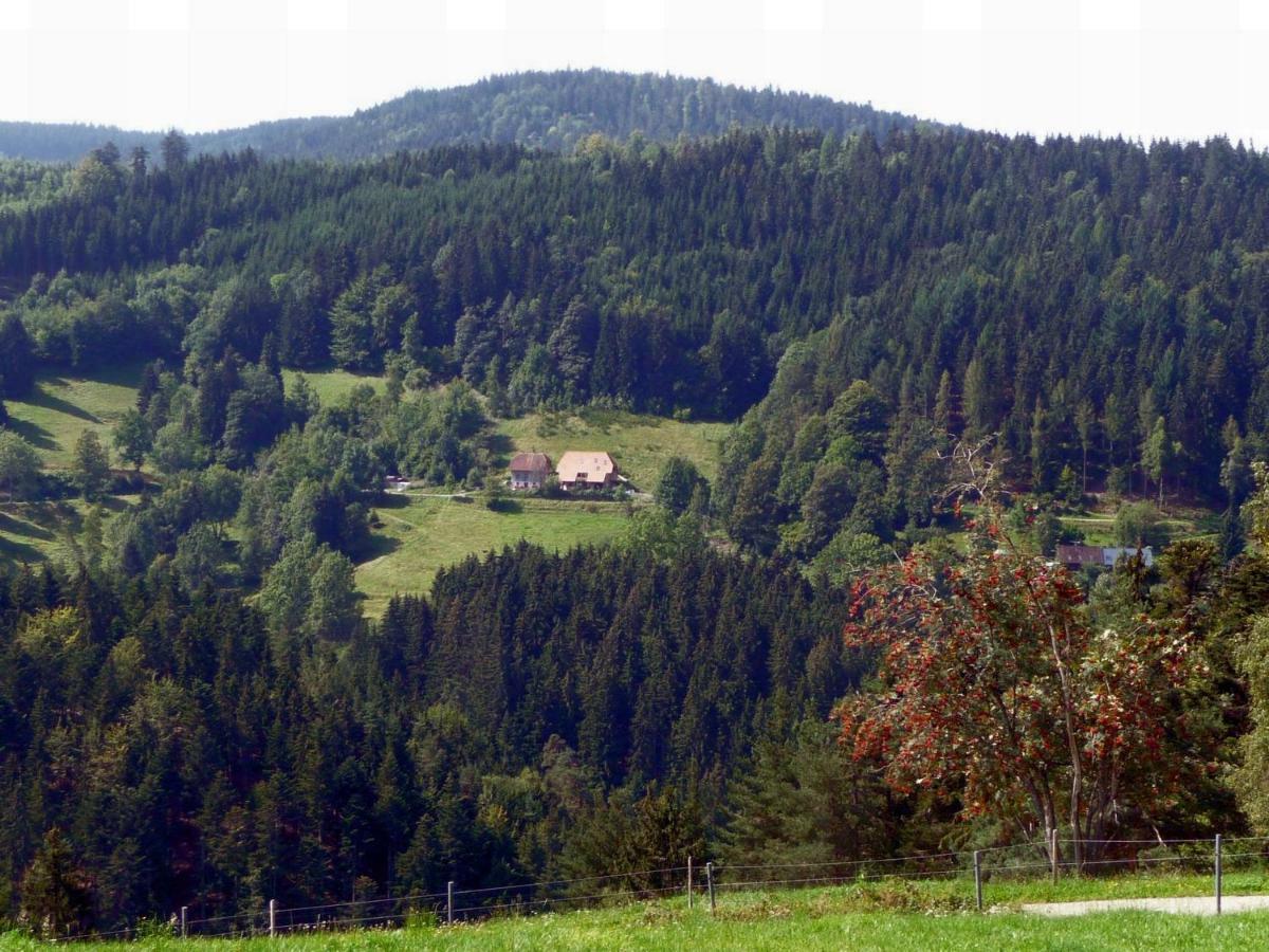 Landhaus Valentin Lägenhet Triberg im Schwarzwald Exteriör bild