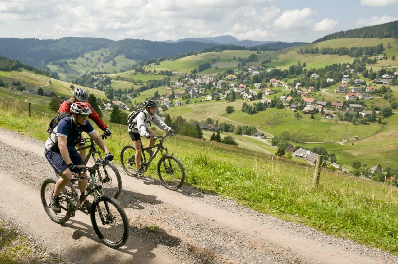 Landhaus Valentin Lägenhet Triberg im Schwarzwald Exteriör bild