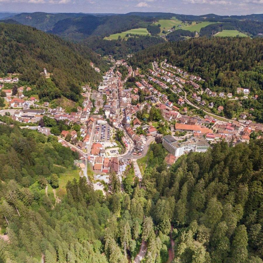 Landhaus Valentin Lägenhet Triberg im Schwarzwald Exteriör bild